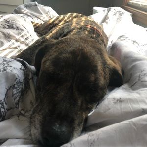 Meet your Posher, Ellie